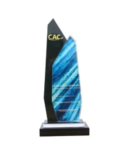 INDUSTRY EXCELLENCE AWARD