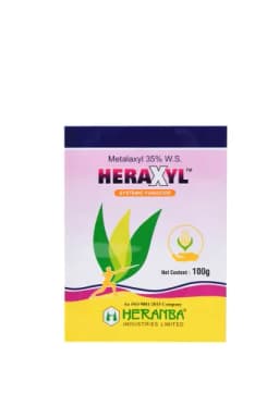 HERAXYL view 5