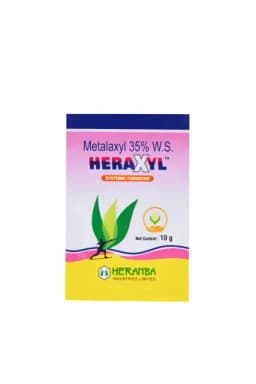 HERAXYL view 7