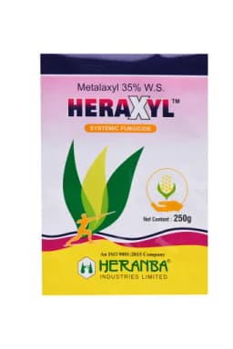 HERAXYL view 3