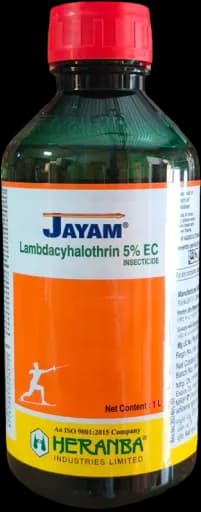 JAYAM view 9