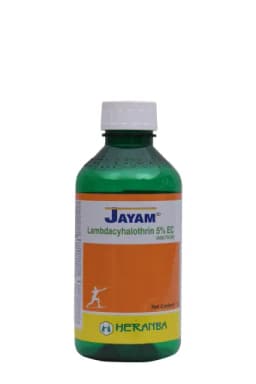 JAYAM view 12