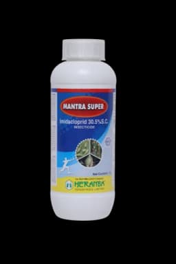MANTRA SUPER view 9