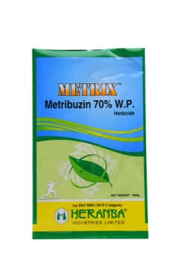 METRIX view 1