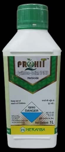 PROHIT view 5