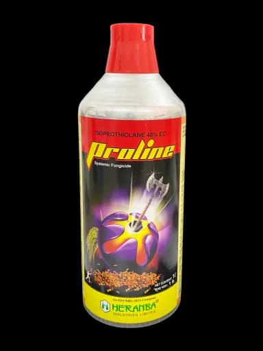 PROLINE