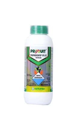 PROQUIT view 5