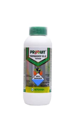 PROQUIT view 7