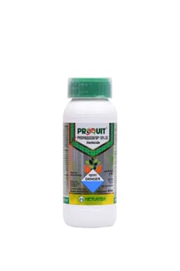 PROQUIT view 11