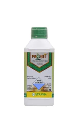 PROHIT view 1