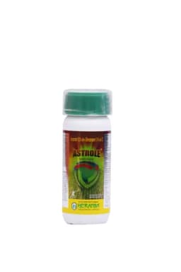 ASTROLE view 12