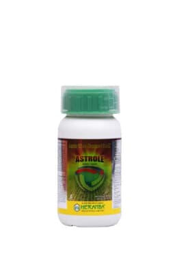 ASTROLE view 17