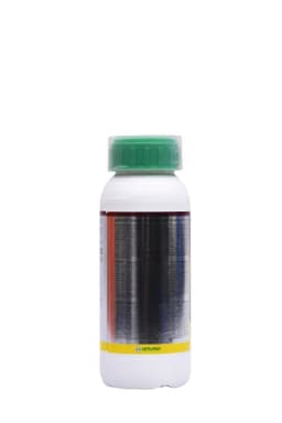 ASTROLE view 20