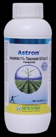 ASTRON view 16