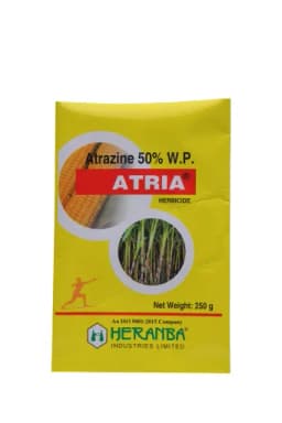 ATRIA view 4