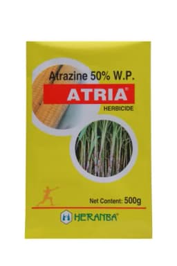 ATRIA view 1