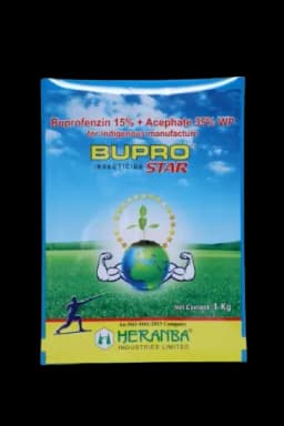 BUPROSTAR view 3