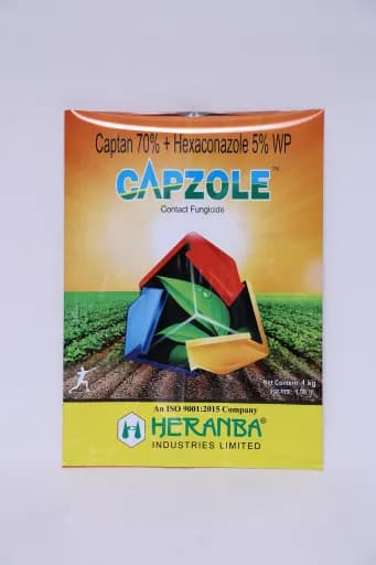 CAPZOLE