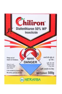 CHILIRON view 15
