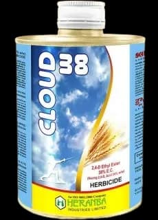 CLOUD 38