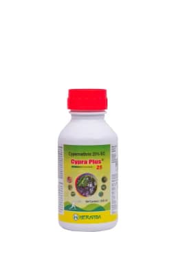 CYPRA PLUS view 18
