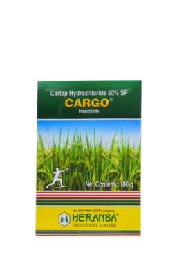 CARGO view 7