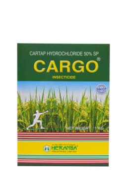 CARGO view 1