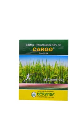 CARGO view 9