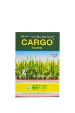 CARGO view 4