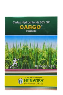 CARGO view 3
