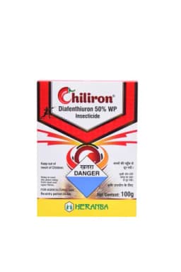 CHILIRON view 5