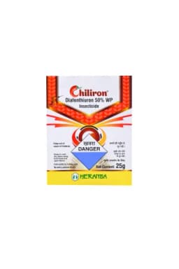 CHILIRON view 7