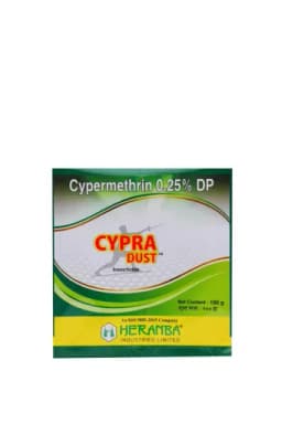 CYPRA DUST view 3