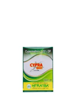 CYPRA DUST view 2