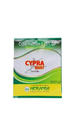 CYPRA DUST view 1