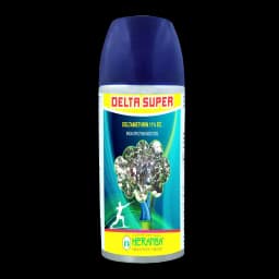 DELTA SUPER view 5