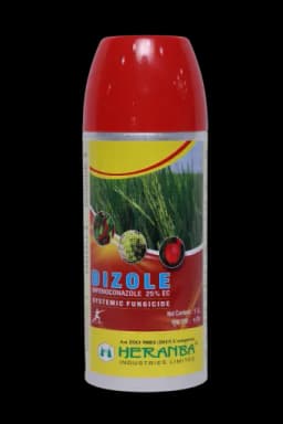 DIZOLE view 1