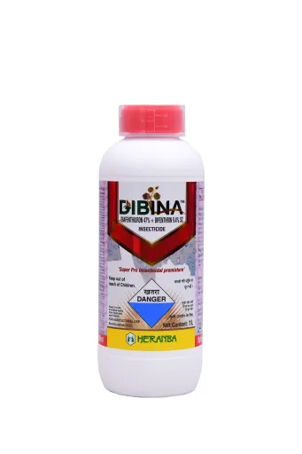 DIBINA