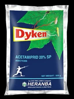 DYKEN view 31