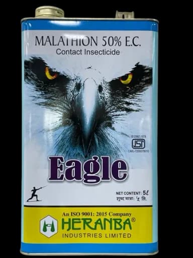 EAGLE