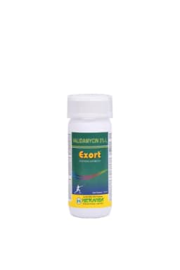 EXORT view 7
