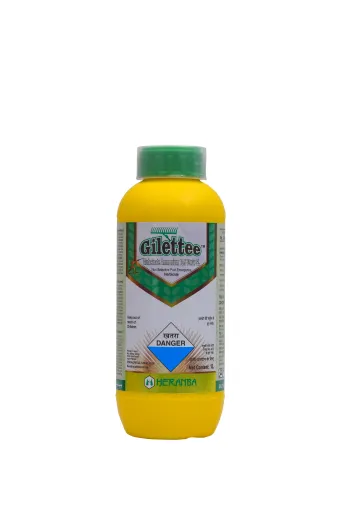 GILETTEE