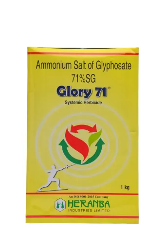 GLORY 71