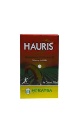HAURIS view 3