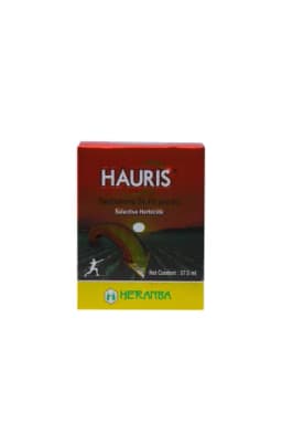HAURIS view 5