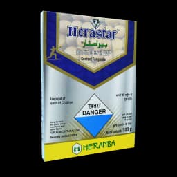 HERASTAR view 7