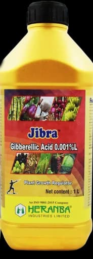 JIBRA view 2