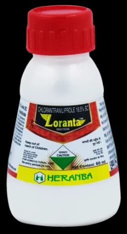 LORANTA view 12
