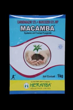 MACAMBA view 8