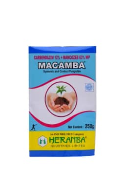 MACAMBA view 13